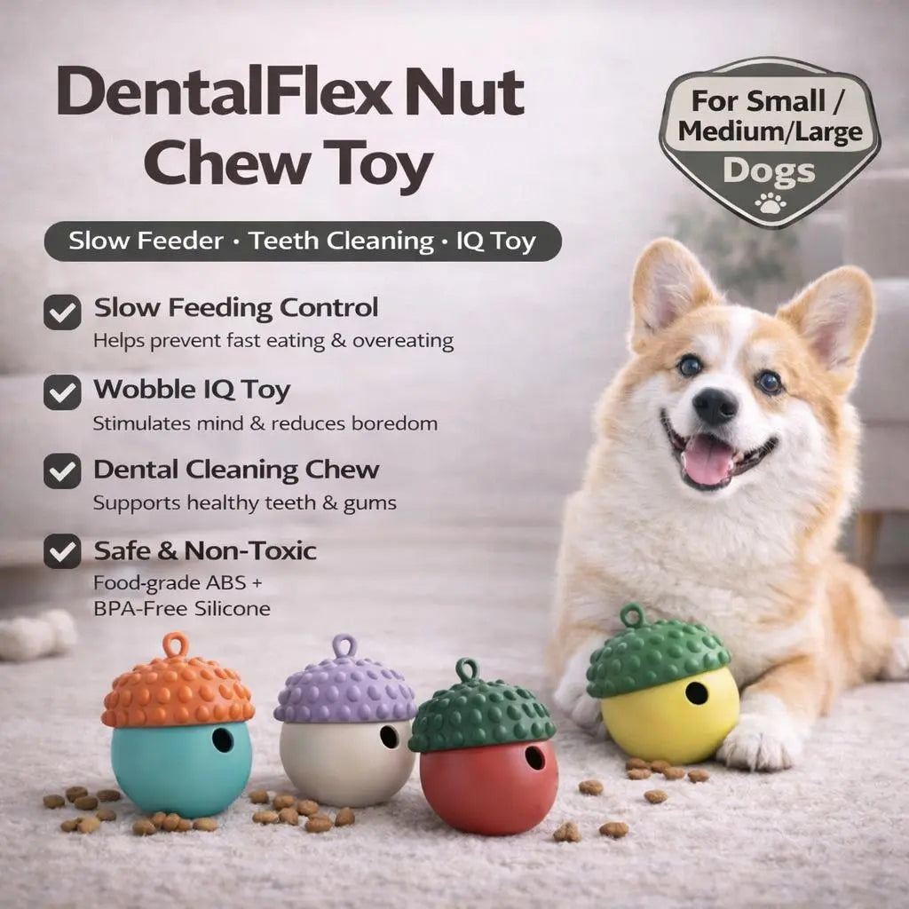 Premium Dog Chew Toy and Slow Feeder for Bloating Reduction and Dental Hygiene | Safe, Durable, and Dishwasher Safe