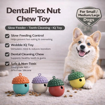 Premium Dog Chew Toy and Slow Feeder for Bloating Reduction and Dental Hygiene | Safe, Durable, and Dishwasher Safe