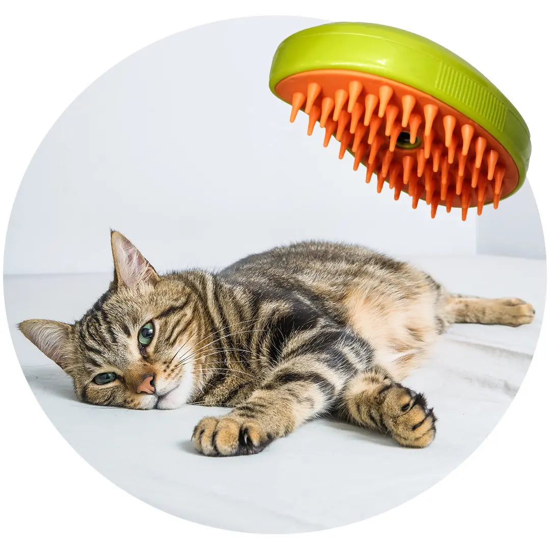 3-in-1 Rechargeable Pet Spray Brush for Effective Hair Removal, Detangling, and Shedding - Affordable Cat Grooming Tool