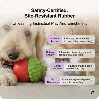 Premium Dog Chew Toy and Slow Feeder for Bloating Reduction and Dental Hygiene | Safe, Durable, and Dishwasher Safe