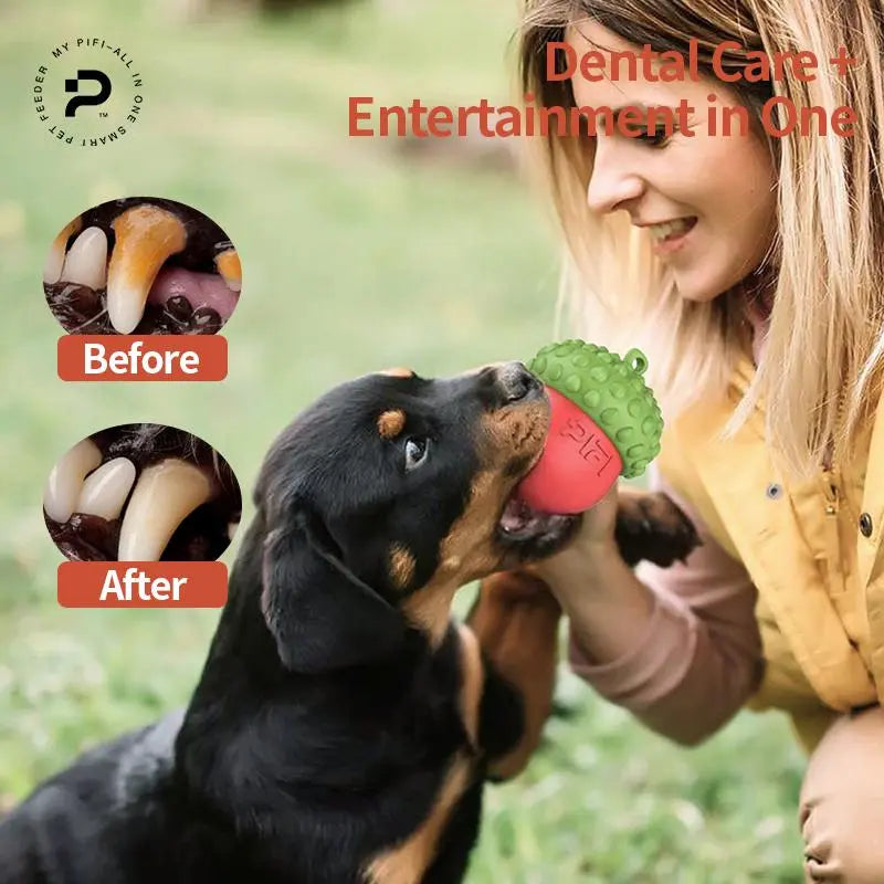 Premium Dog Chew Toy and Slow Feeder for Bloating Reduction and Dental Hygiene | Safe, Durable, and Dishwasher Safe