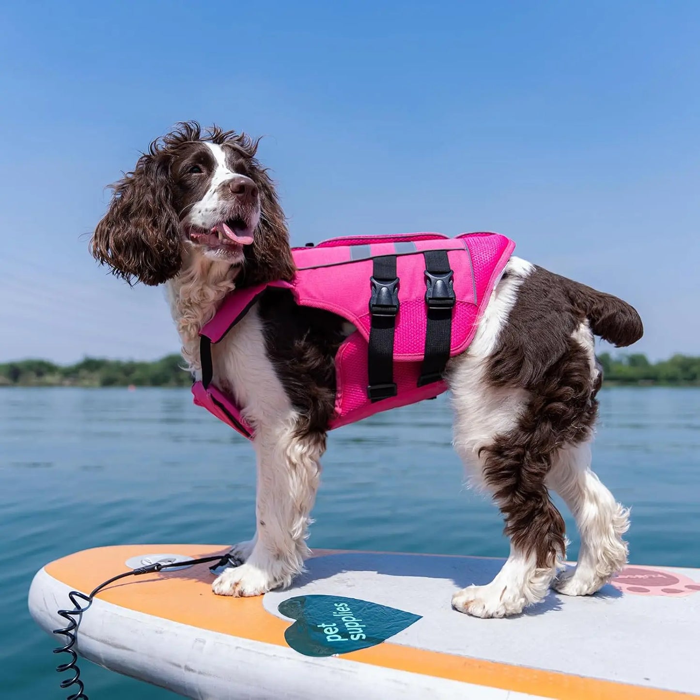 Kuoser Large Dog Life Jacket - High-Floatation Safety Vest for Swimming and Boating, Reflective Pet Life Preserver with Rescue Handle