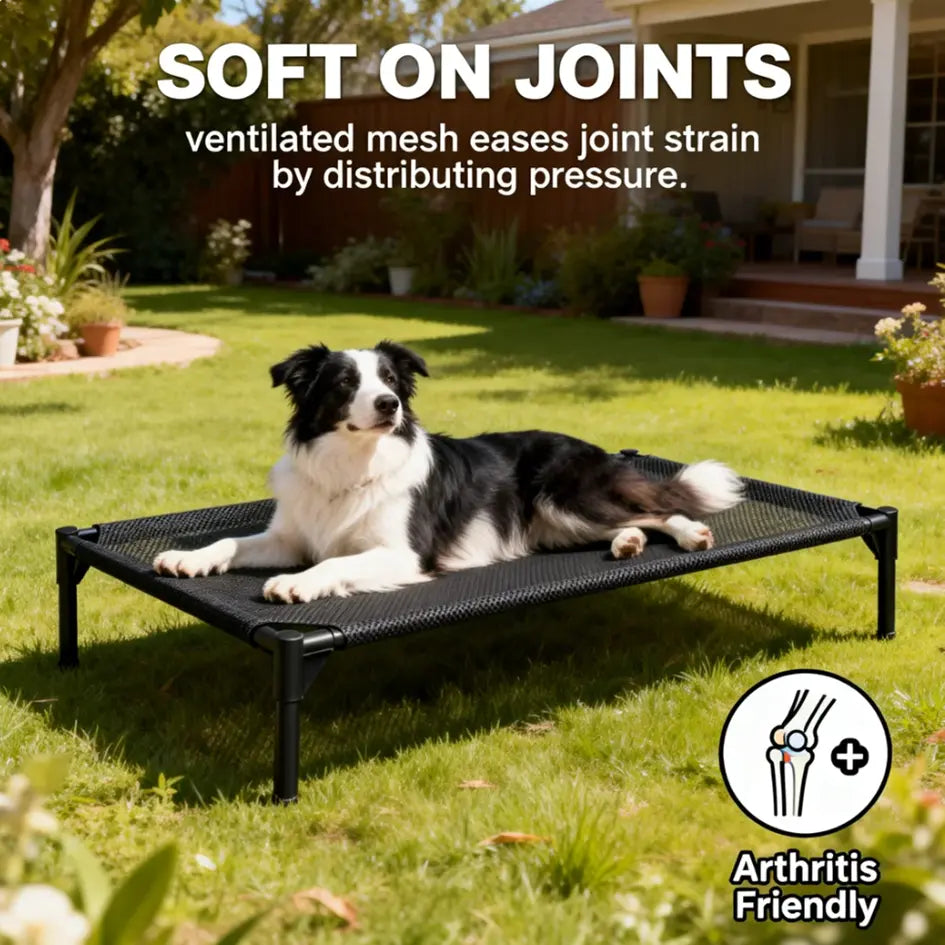 Elevated Dog Bed - Breathable and Chew-Proof Cooling Cot for Large Dogs, Ideal for Indoor, Outdoor, and Camping Use, Features Washable Mesh and Anti-Slip Feet, Durable and Comfortable Design in Black