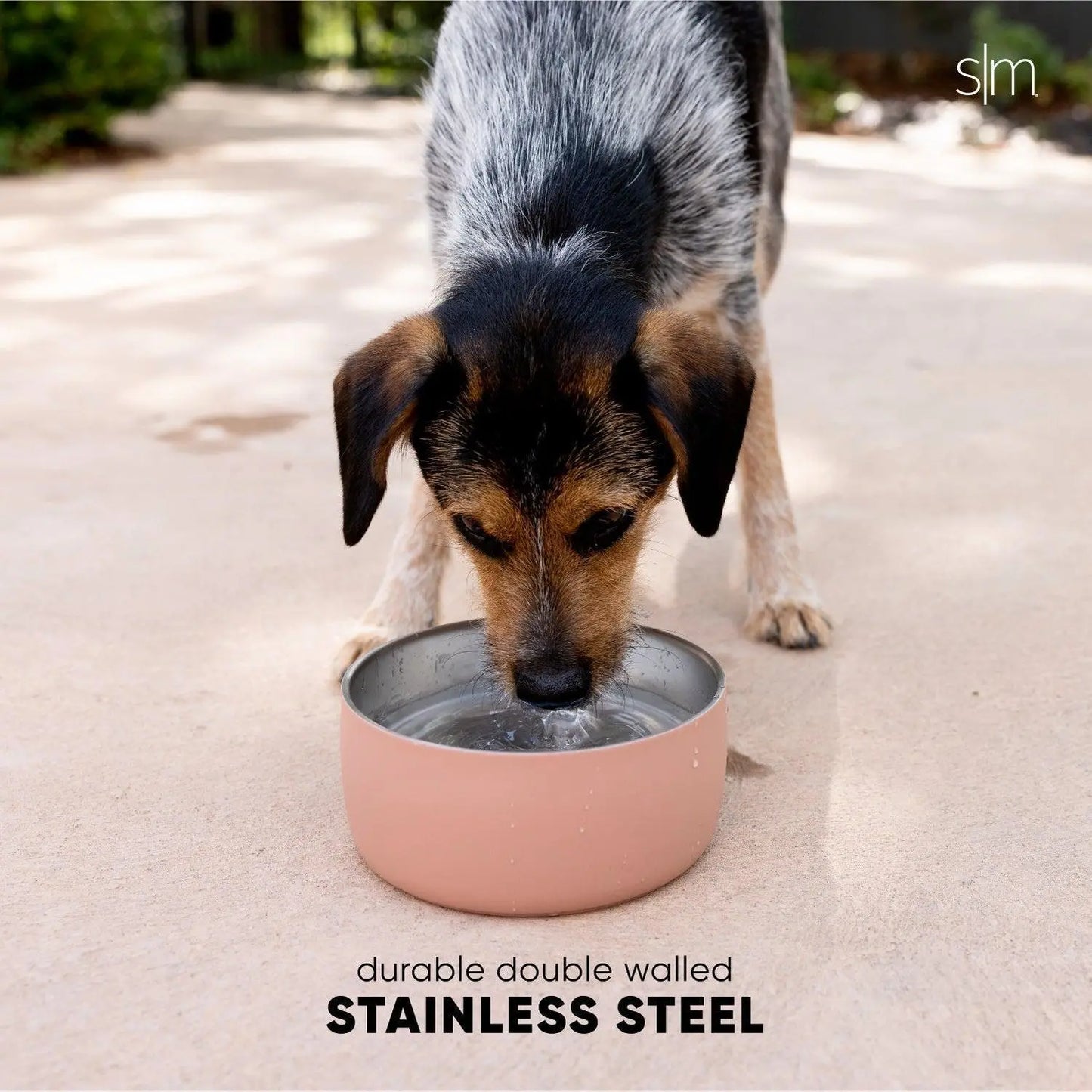 Medium Bentley Pet Bowl by Simple Modern - Insulated and Durable Stainless Steel