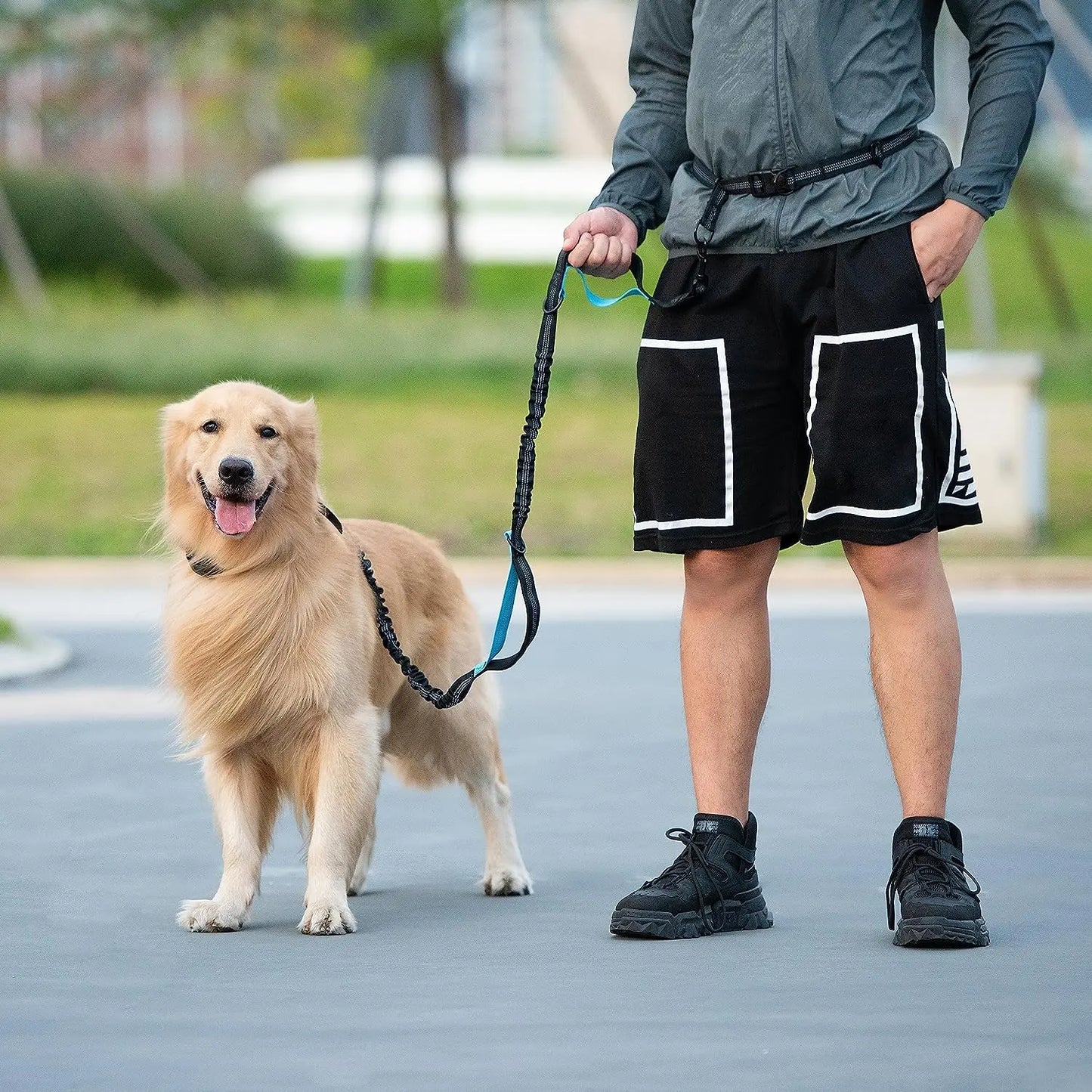 Iyoshop Hands-Free Dog Leash with Zipper Pouch, Dual Padded Handles, and Durable Bungee for Walking, Jogging, and Running (Medium, 8-25 lbs, Black)