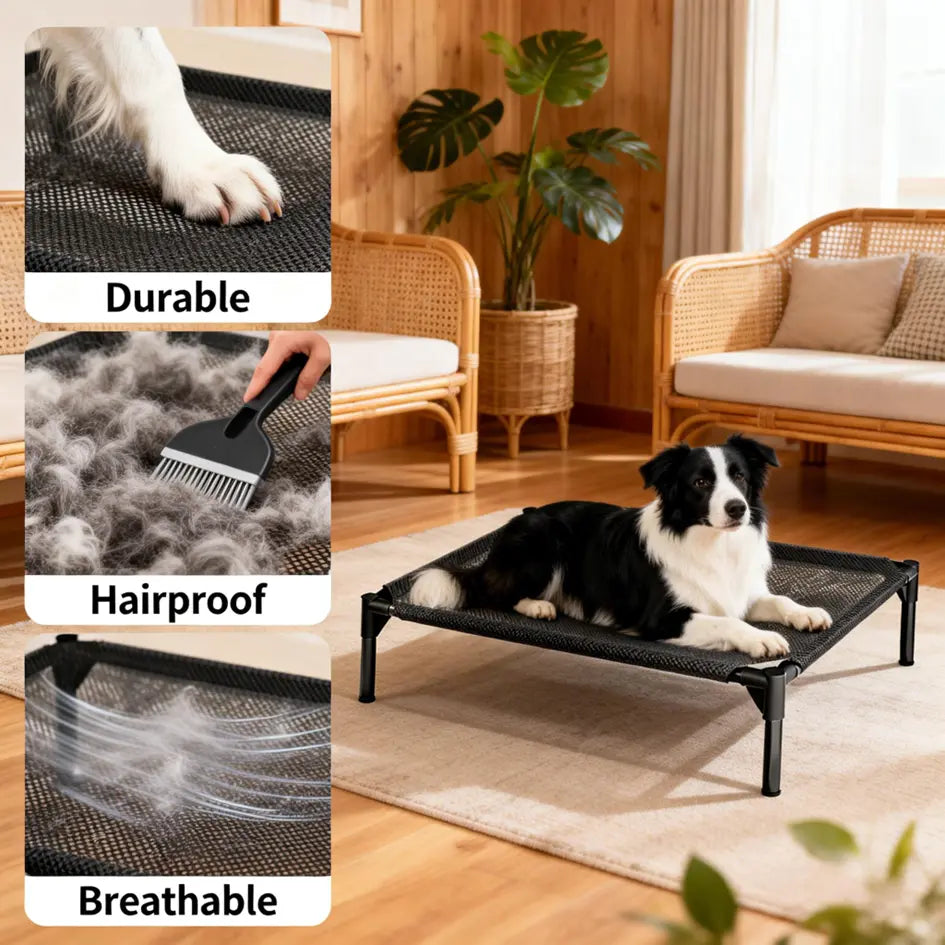 Elevated Dog Bed - Breathable and Chew-Proof Cooling Cot for Large Dogs, Ideal for Indoor, Outdoor, and Camping Use, Features Washable Mesh and Anti-Slip Feet, Durable and Comfortable Design in Black